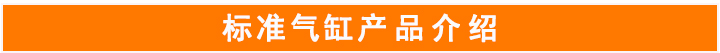 標(biāo)準(zhǔn)氣缸 標(biāo)準(zhǔn)氣缸